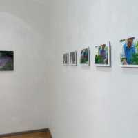 Ausstellung memory tree, Feldkirch, 2013