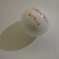 art bodensee 2012