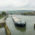 schiff