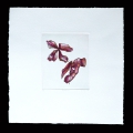 06-Orchidaceae-30x30