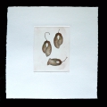07-Acer-30x30