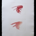10-Schattenwurf-57x76