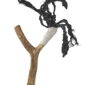 46-BL-OT-2021-Kopie