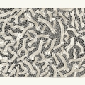 Golgiapparat-29.7x42_72