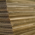 allerart_028