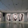 Unknown-3