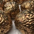 goldenbrains