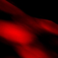 DSC06797a