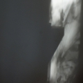 DSC08362