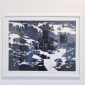 norbert-2