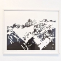 norbert-3