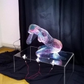 Rainer Wolf1