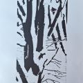Baumgruppe-im-Winter-2025