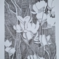 Magnolie-Tusche-2024
