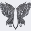butterflies-2019_butterfly-3-Kopie