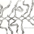 changing-pictures-flying-spine