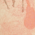 harald-position-rosa