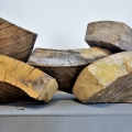 Bild-24-Galehr