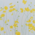 SabineStaussWouk_2014_Buttercups_200x110