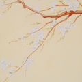 SabineStaussWouk_2017_Spring_115x150