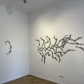 image0005