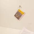 mg_3254web