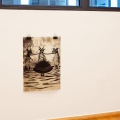 mg_3662web