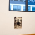 mg_3663web