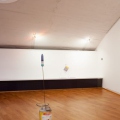 mg_3664web