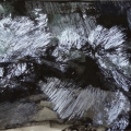 In-der-Spiegelung-versinken-Siebdruck-65x50-2025