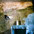 Agios_Giorgios_Agio_Giorgios_2001