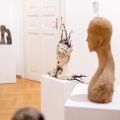 60-DSC_2968